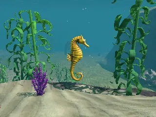 A golden seahorse by the kelp