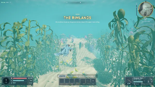 Swimming through a kelp forest